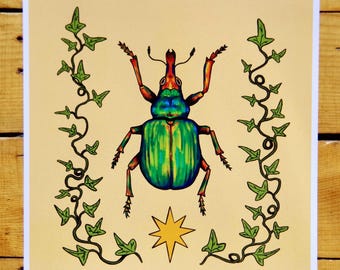 Weevil Star Print
