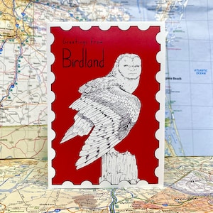Saludos desde Birdland - zine
