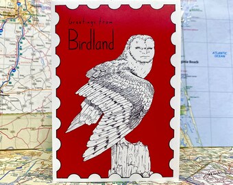 Greetings from Birdland - zine