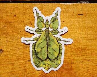 EXOSKELETONS Leafbug Sticker