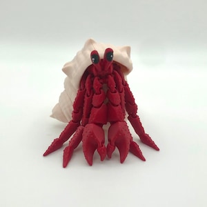 Hermit Crab