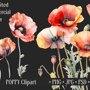 Aquarelle Poppy Clipart PNG Utilisation commerciale Clip Art Spring Floral Clipart PNG, Digital Art Clipart, POD autorisé, Junk Journal Card Making