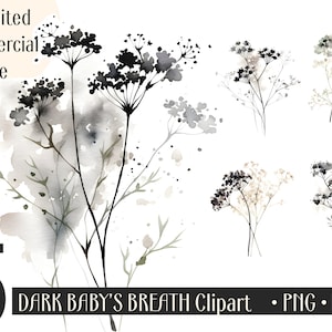 Aquarell Schleierkraut Clipart PNG, kommerzielle Nutzung Clip Art, Schleierkraut PNG, digitale Kunst, POD erlaubt, Junk Journal Card Making