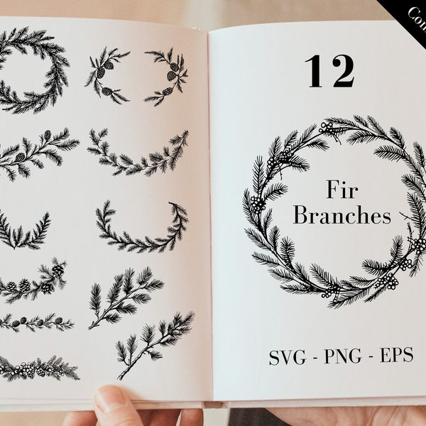 Christmas Fir Branches SVG, Hand Drawn Holiday evergreen, Fir tree and Pinecone SVG + PNG + eps File, Vector Fir branches