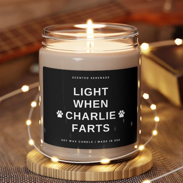 Light When Dog Farts Candle, Dog Mothers Day Gift, Funny Dog Gift, Gifts for Dog Mom, Dog Dad Gift, Dog Owner, Dog Lover Gift