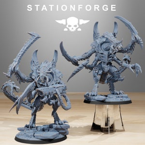 Xenarid Nyxar | Station Forge