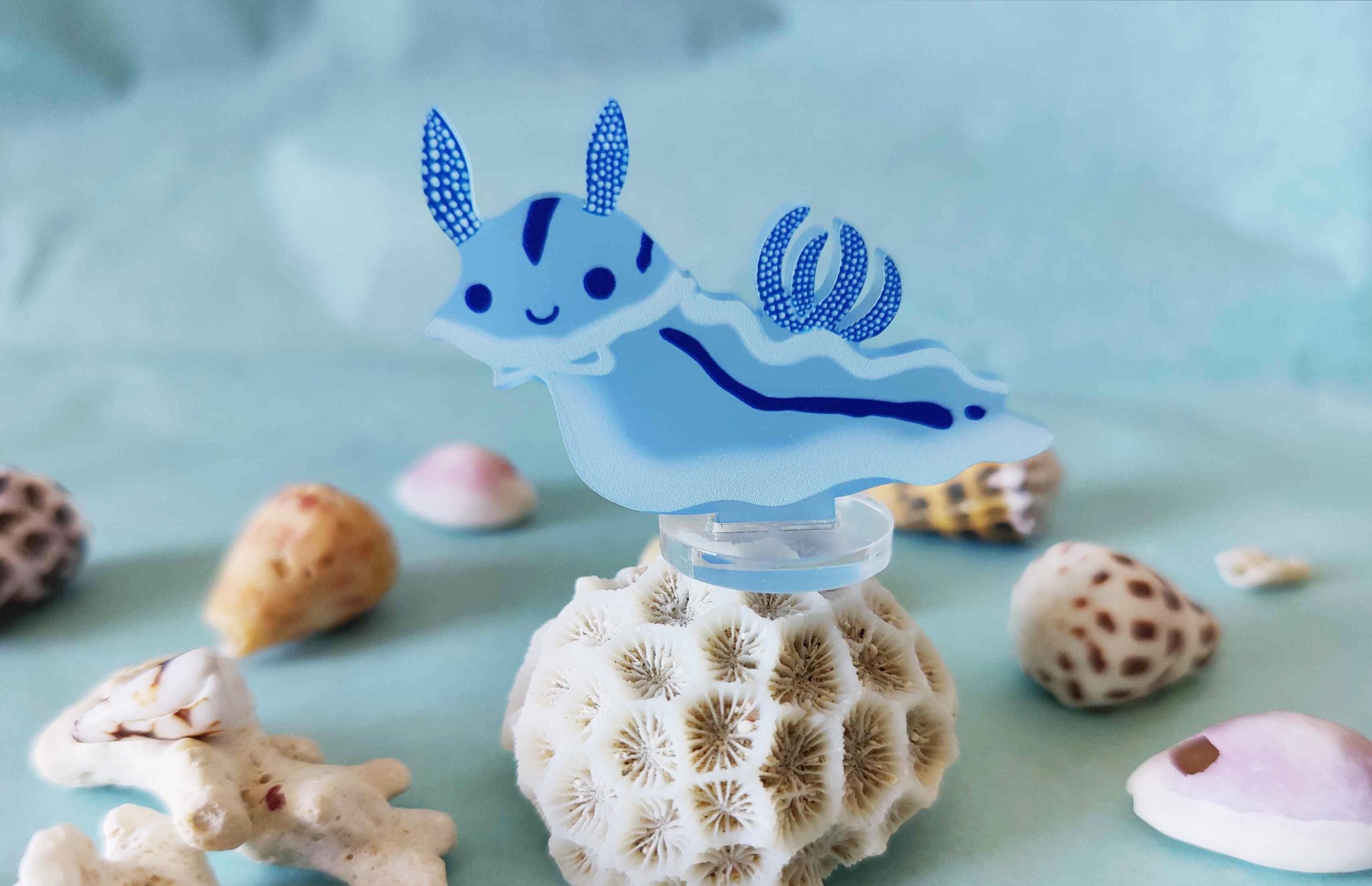 Chromodoris Willani Standee | Smiling Blue Sea Slug Standee - Etsy