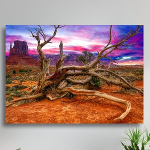 Monument Valley Arizona Pink Sky Sunset Juniper Tree Large Matte Canvas Photo Print Ready To Hang Wall Art