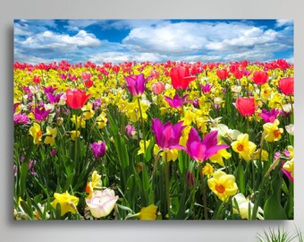 Tulip canvas wall art, Scenic wall art prints, Daffodil wall art, Matte canvas landscape print, Wildflowers wall art