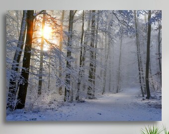 Snowy Forest Road Sunlight Through Trees Lienzo mate grande Impresión fotográfica Listo para colgar Arte de pared