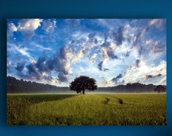 Scenic Landscape Print Farm Crop Wheat Field Trees Large Matte Canvas Photo Print Ready To Hang Print