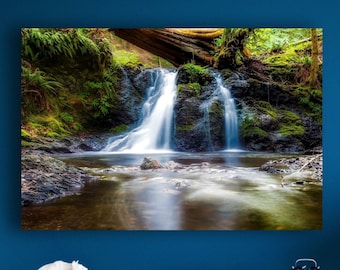 Rainforest Waterfall Stream Large Matte Canvas Photo Print Ready To Hang Forest Wall Art