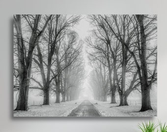 Tree Lined Snow Covered Road Scenic Winter Landscape Large Matte Canvas Photo Print Ready To Hang Wintry Wall Art