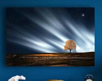Celestial Night Sky Full Moon Stars Lone Tree Large Matte Canvas Photo Print Scenic Landscape Night Sky Wall Art