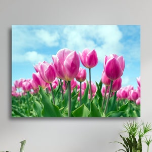Field of Purple Tulip Flowers Large Matte Canvas Photo Print Scenic Flower Photo Print Ready To Hang Wall Art