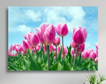Field of Purple Tulip Flowers Large Matte Canvas Photo Print Scenic Flower Photo Print Ready To Hang Wall Art