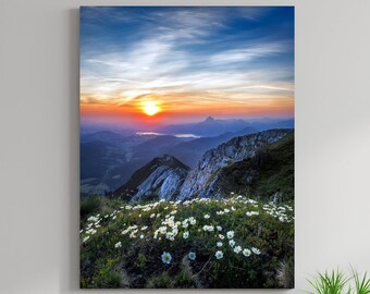 Morning Sunrise Thistles On Winnats Pass Inglaterra Gran lienzo mate Impresión fotográfica Listo para colgar Arte de la pared