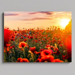Sunrise Over A Poppy Field Large Matte Canvas Photo Print Ready To Hang Wall Art
