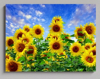 Sunflower Wall Art, Sunflower Matte Canvas Photo Print, Flower Canvas Photo Print, Yellow Flower Print, Flower Canvas Ready to Hang