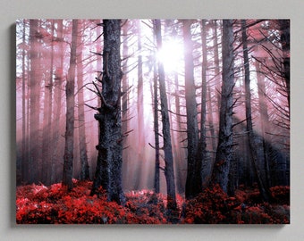 Rayos de luz solar a través de los árboles del bosque, lienzo mate grande, impresión fotográfica, listo para colgar, arte de pared