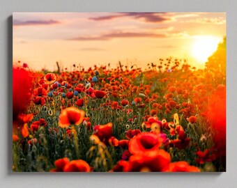 Salida del sol sobre un campo de amapolas, lienzo mate grande, impresión fotográfica, listo para colgar en la pared