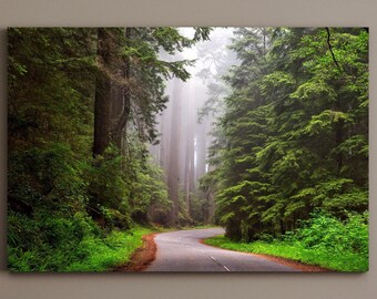 Forest Road Evergreen Trees Misty Fog - Lienzo grande mate, impresión fotográfica, listo para colgar, arte de pared