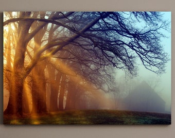 Morning Sunlight Fog Trees Farm Barn Gran lienzo mate Impresión fotográfica Listo para colgar Arte de la pared
