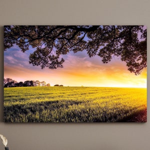 Sunset Over a Farm Crop Field Large Matte Canvas Photo Print Ready To Hang Wall Art