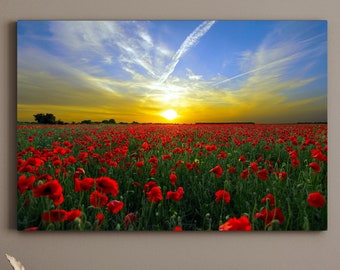 Sunset Over a Field Red Poppies, Large Matte Canvas Photo Print, Scenic Landscape Photo, Ready To Hang Print