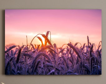 Salida del sol sobre un campo de trigo, lienzo mate grande, impresión fotográfica lista para colgar en la pared
