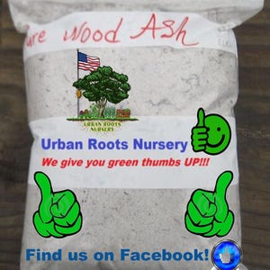 May include: A white bag with the text "Pure Wood Ash" printed on it. The bag also has the text "Urban Roots Nursery" and "We give you green thumbs UP!!!" printed on it. The bag has a green thumbs up icon on each side and a blue thumbs up icon at the bottom with the text "Find us on Facebook!" printed below it.