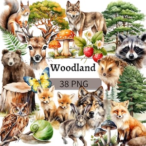 Bundle de cliparts animaux de la forêt aquarelle animaux de la forêt Clip Art déco chambre d'enfant ours renard loup hérisson cerf écureuil pomme de pin fougère champignon