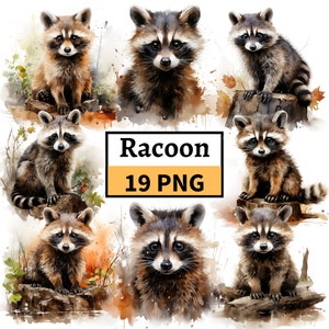 Bundle de cliparts raton laveur, illustration aquarelle de raton laveur, graphiques mignons de raton laveur, clipart animaux, graphiques animaux mignons, travaux manuels numériques en papier