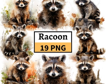 Racoon Clipart Bundle, Watercolor Racoon Illustration, Cute Racoon Graphics, Animals Clipart, Cute Animals Graphics, Paper Digital Crafts