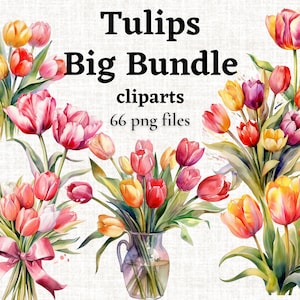 Tulp clipart, aquarel tulpen PNG, bloemen PNG, zomerbloemen clipart, bruiloft uitnodiging, commercieel gebruik PNG, lente bloemen clipart PNG