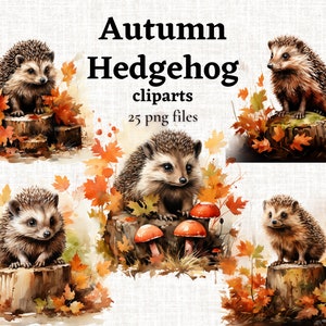 Bundle de cliparts hérisson automne, clipart hérisson heureux, hérisson mignon PNG Bundle, Illustrations animaux mignons, clipart automne, feuilles d'automne