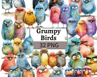 Funny Birds Clipart Bundle Watercolor Grumpy Birds on Branch Illustration Funny Animals Graphics Paper Crafts, Scrapbooking Junk Journal PNG