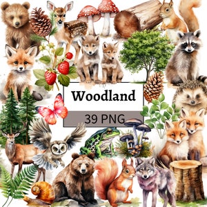 Bundle de cliparts animaux de la forêt aquarelle animaux de la forêt Clip Art déco chambre d'enfant ours renard loup hérisson cerf écureuil pomme de pin fougère champignon