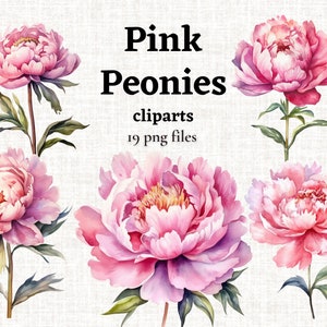 Rosa Pfingstrose Clipart, Aquarell Rosa Pfingstrosen PNG, Rosa Blumen Clipart, Blumen PNG, Aquarell Blumen, Transparenter Hintergrund, Kommerziell