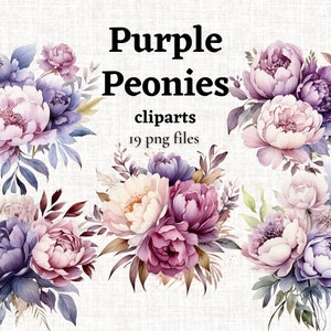 Paquete de imágenes prediseñadas de peonías moradas, flores moradas polvorientas PNG, flores moradas y crema, imágenes de flores de peonía, peonía de acuarela, uso comercial