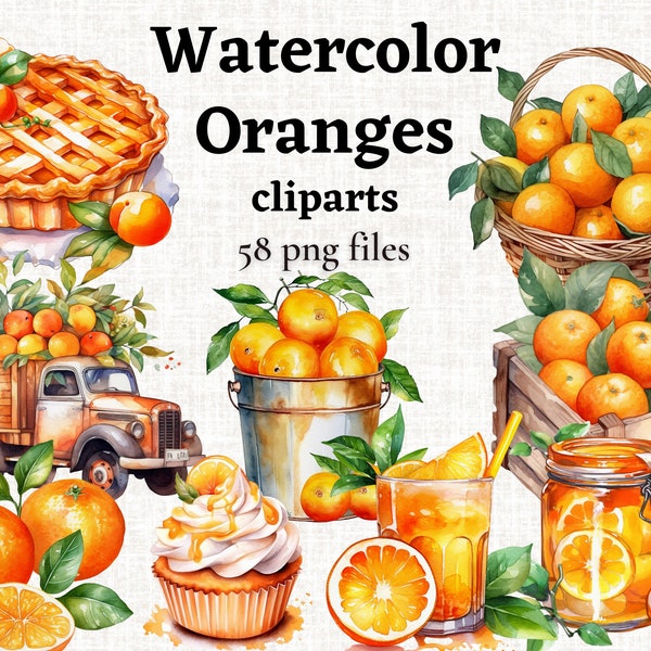 Watercolor orange clipart bundle Orange-themed PNG illustrations High-resolution citrus graphics Commercial use clipart set orange juice png