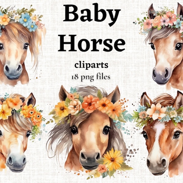 Floral Baby Horse Clipart Bundle, Cute Baby Horse PNG, Cute Foal Illustration, Digital Crafting, Paper Crafting, Nursery Art, Commercial Use