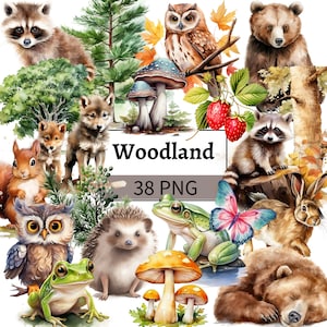 Bundle de cliparts animaux de la forêt aquarelle animaux de la forêt Clip Art déco chambre d'enfant ours renard loup hérisson cerf écureuil pomme de pin fougère champignon