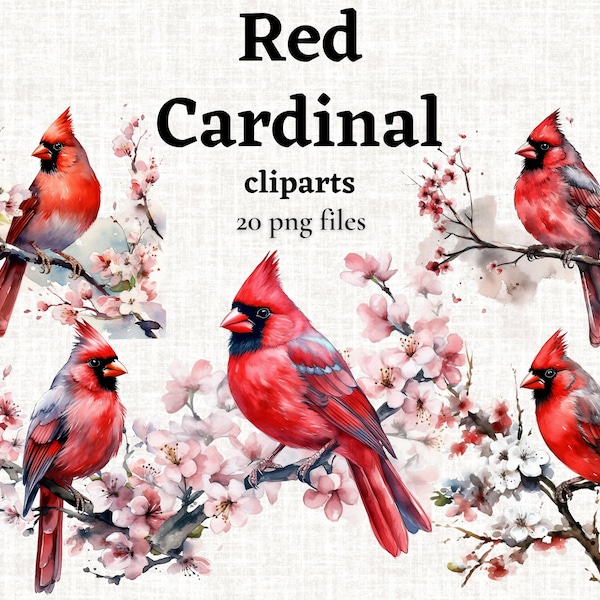 Red Cardinal PNG, Red Cardinal Bird, Red Cardinal Clipart, Red Bird Clipart, Watercolor Bird, Colorful Bird PNG, Nature Images, Commercial