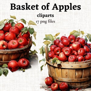Apple Basket Clipart Bundle, Panier avec pommes PNG, Graphiques de récolte d’automne, Clipart de pomme rouge aquarelle, Récolte de jardin de pommes, Décor d’automne