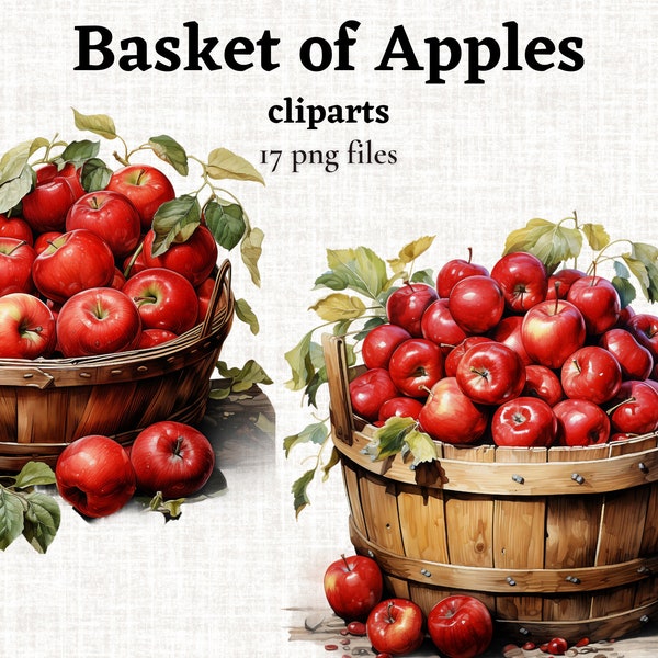 Apple Basket Clipart Bundle, Basket with Apples PNG, Autumn Harvest Graphics, Watercolor Red Apple Clipart, Apple Garden Harvest, Fall Decor