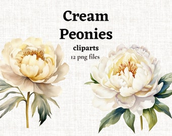 Cream Peony Clipart, Watercolor Floral Clipart Bundle, White Flowers png, Wedding Botanical Florals, Clipart for Commercial Use, Transparent