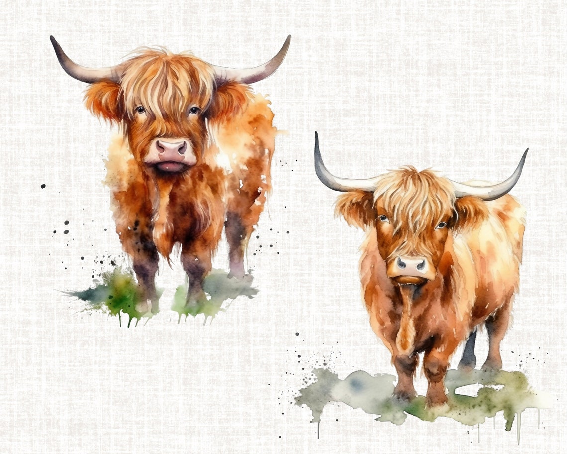 Highland Cow PNG Watercolor Clipart Watercolor Highland Cow - Etsy