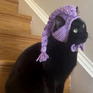 May include: A black cat wearing a lavender crocheted hat with a long braid and a bow. The cat is sitting on wooden stairs. The hat covers the cat's ears and has a braided design.