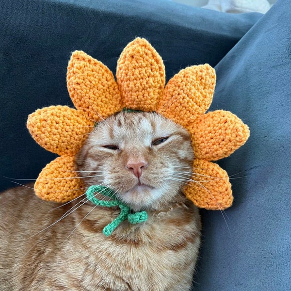 MOTIF AU CROCHET - fleur chat chapeau au crochet modèle PDF numérique, tournesol chapeau au crochet pour animal de compagnie, chat chapeau au Crochet motif